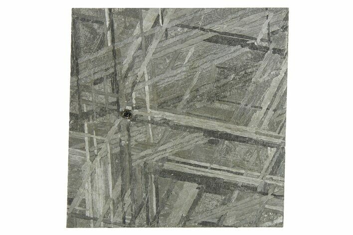 Etched Muonionalusta Meteorite Slice ( g) - Sweden #272638